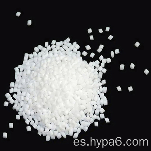 Nylon 6 partículas